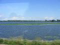 DSCF8874